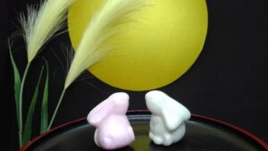 最中（もなか）の由来は月が関係しているって本当？最中の歴史や発祥を探る！