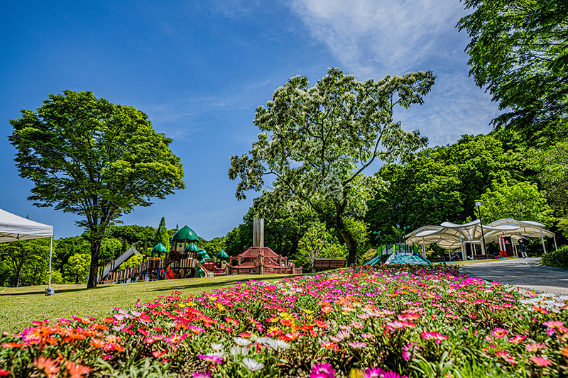 花フェスタ記念公園