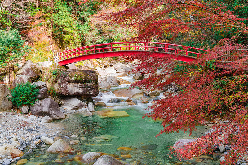 もみじ橋